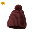 Touca feminina forrada com Pompom